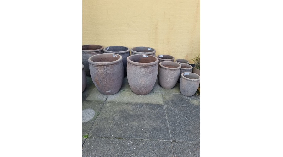 20240419_114948_resized (1)