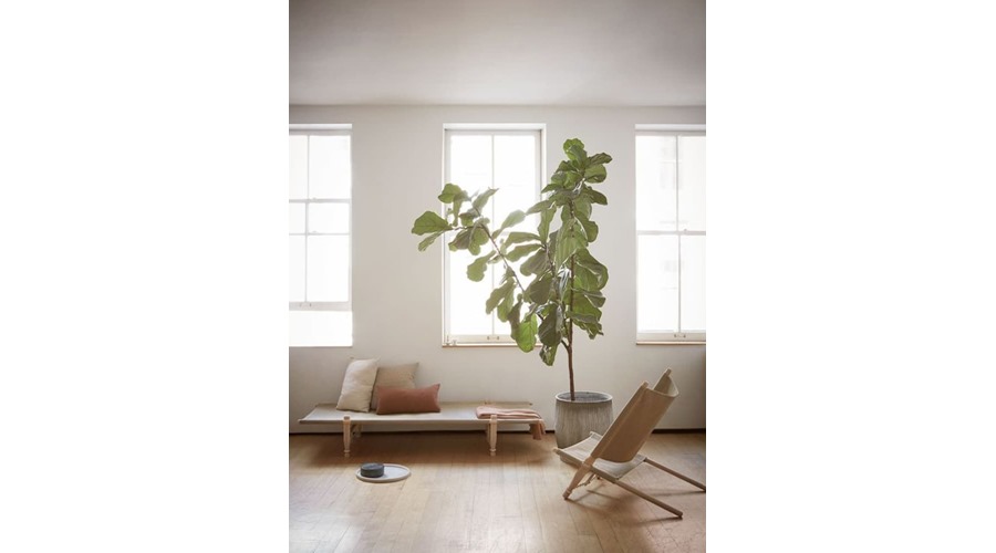 smf-lys-vindue-plante